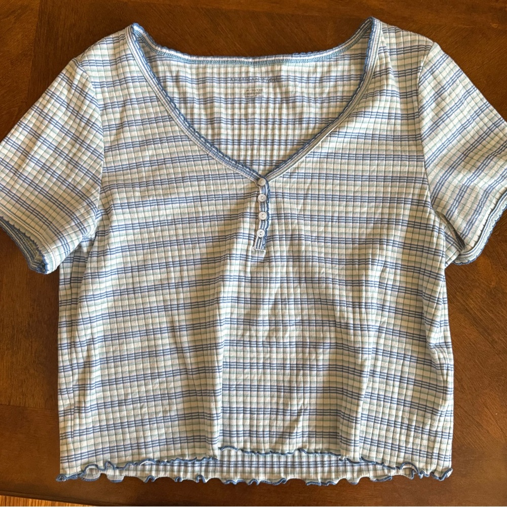 American Eagle Outfitters Blue and White Checkered Crop Top